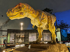 恐竜王国福井で恐竜に会う