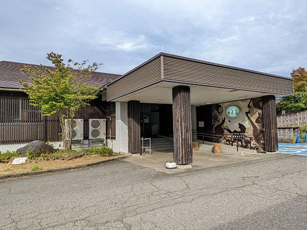 勝山天然温泉水芭蕉